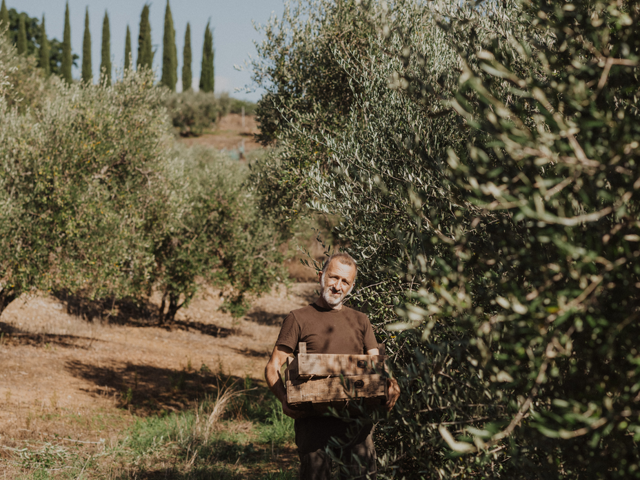 Quelle est la différence entre l’huile d’olive extra vierge et l’huile d’olive ordinaire ?