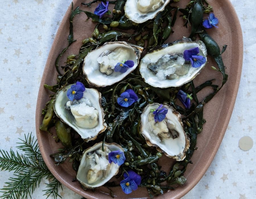 Oesters met een granita van gin