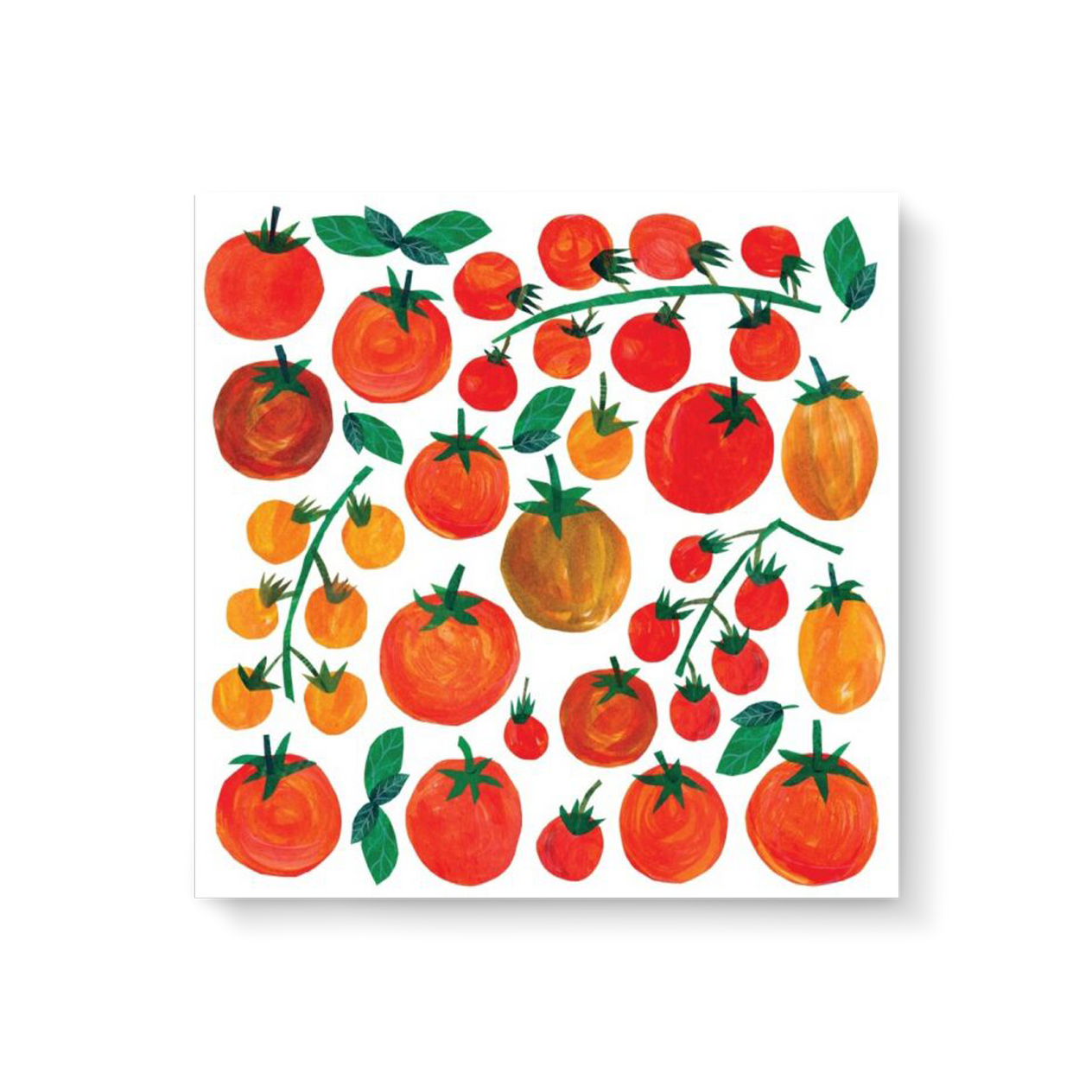 Serviette à tomates - 25 x 25 cm - Lot de 20
